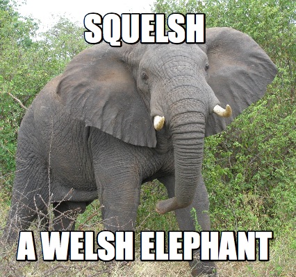 squelsh-a-welsh-elephant