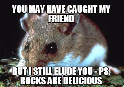 you-may-have-caught-my-friend-but-i-still-elude-you-ps-rocks-are-delicious