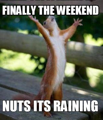 Meme Creator - Funny Finally the Weekend Nuts its raining Meme ...