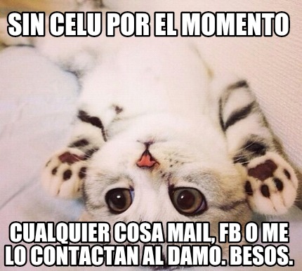 sin-celu-por-el-momento-cualquier-cosa-mail-fb-o-me-lo-contactan-al-damo.-besos