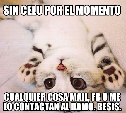 sin-celu-por-el-momento-cualquier-cosa-mail-fb-o-me-lo-contactan-al-damo.-besis