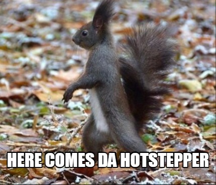 here-comes-da-hotstepper7