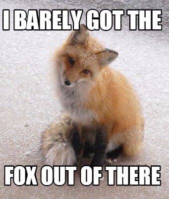 i-barely-got-the-fox-out-of-there