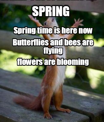 Meme Creator Funny Spring Spring Time Is Here Now Butterflies And Bees Are Flying Flowers Are Bloo Meme Generator At Memecreator Org