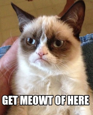 Meme Creator - Funny Get meowt of here Meme Generator at MemeCreator.org!