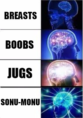 Meme Creator Funny Breasts Boobs Jugs Sonu Monu Meme Generator At Memecreator Org