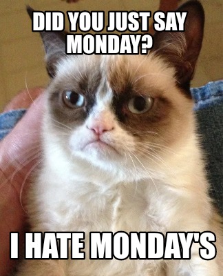 Meme Creator - Funny Did you just say monday? I hate Monday's Meme ...