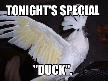 tonights-special-duck