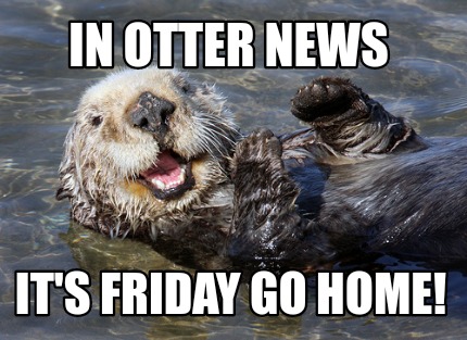 Meme Creator - Funny In OTTER news It's Friday go home! Meme Generator ...