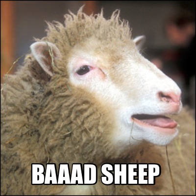 baaad-sheep