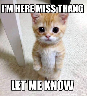 Meme Creator - Funny I'm here miss thang Let me know Meme Generator at ...