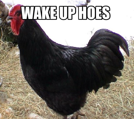 wake-up-hoes
