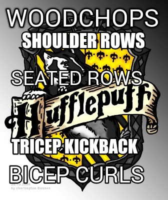 woodchops-shoulder-rows-bicep-curls-tricep-kickback-seated-rows