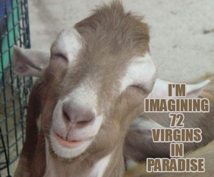 im-imagining-72-virgins-in-paradise