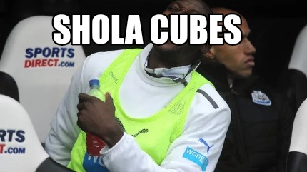 shola-cubes