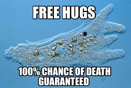 free-hugs-100-chance-of-death-guaranteed