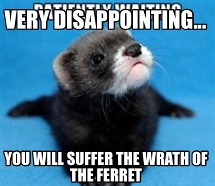 very-disappointing...-you-will-suffer-the-wrath-of-the-ferret