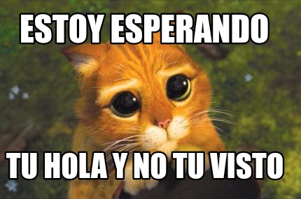 Meme Creator - Funny Estoy esperando Tu hola y no tu visto Meme Generator  at !