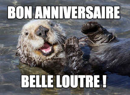 Meme Creator Funny Bon Anniversaire Belle Loutre Meme Generator At Memecreator Org