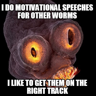 i-do-motivational-speeches-for-other-worms-i-like-to-get-them-on-the-right-track