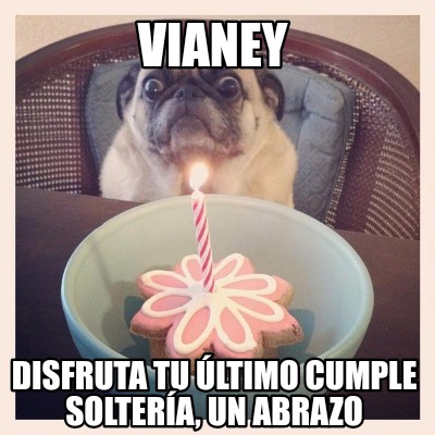 Meme Creator - Funny Vianey Disfruta tu último cumple soltería, un ...