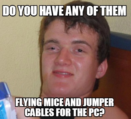 Meme Creator - Funny do you have any of them flying mice and jumper ...