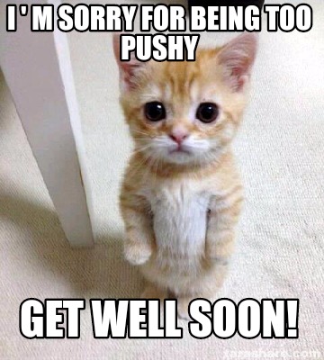 Meme Creator - Funny I ' m sorry for being too pushy Get well soon ...