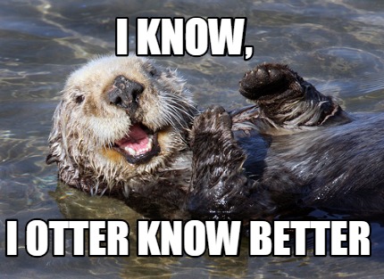 Meme Creator - Funny I know, I otter know better Meme Generator at ...