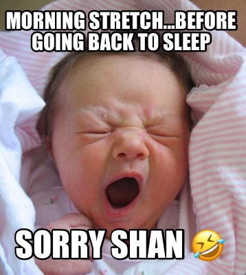 morning-stretch...before-going-back-to-sleep-sorry-shan-