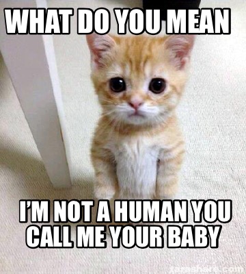 Meme Creator - Funny What do you mean I’m not a human you call me your ...