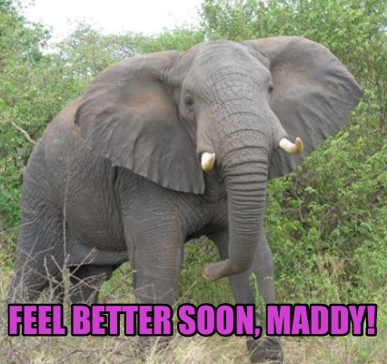 feel-better-soon-maddy