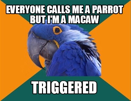 Meme Creator - Funny everyone calls me a parrot but i'm a macaw ...