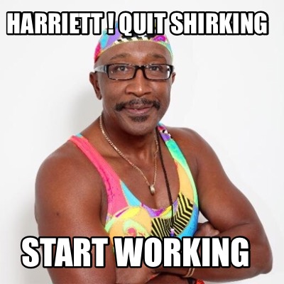 Meme Creator - Funny Harriett ! Quit shirking Start working Meme ...