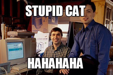 stupid-cat-hahahaha