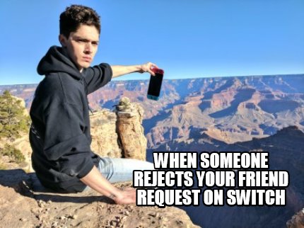 when-someone-rejects-your-friend-request-on-switch