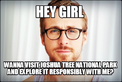 Meme Creator Funny Hey Girl Wanna Visit Joshua Tree National Park And Explore It Responsibly