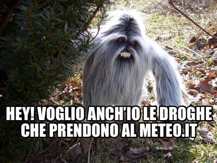 hey-voglio-anchio-le-droghe-che-prendono-al-meteo.it