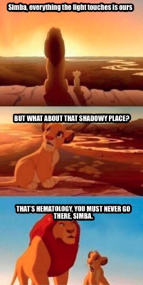 Meme Creator - Funny Simba, everything the light touches is ours That’s ...