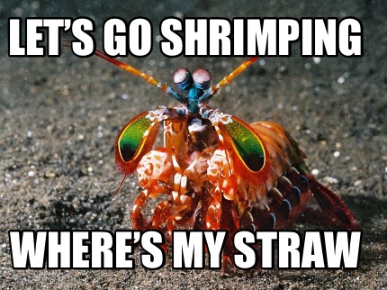 lets-go-shrimping-wheres-my-straw