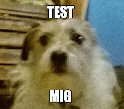 Meme Creator Funny Test Mig Meme Generator At Memecreator Org