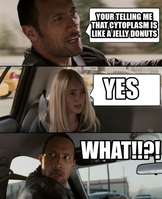 Meme Creator - Funny Your telling me that cytoplasm is like a jelly ...