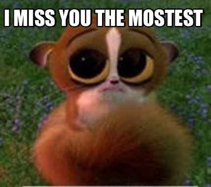 Meme Creator - Funny I miss you the mostest Meme Generator at ...