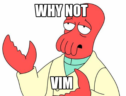 why-not-vim