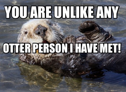 Meme Creator - Funny You Are Unlike Any Otter Person I Have Met! Meme ...