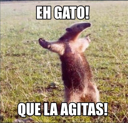 Meme Creator Funny Eh Gato Que La Agitas Meme Generator At