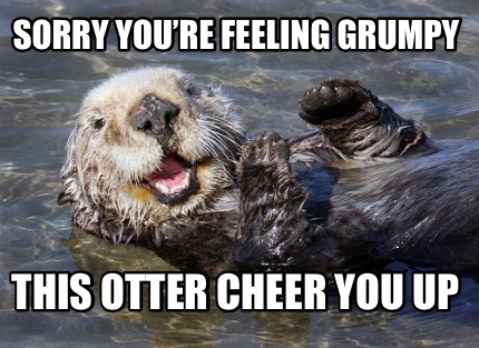 Meme Creator - Funny Sorry you’re feeling grumpy This otter cheer you ...