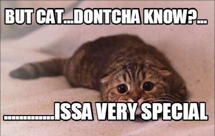 but-cat...dontcha-know...-.............issa-very-special