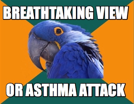 Meme Creator - Funny breathtaking view or asthma attack Meme Generator ...