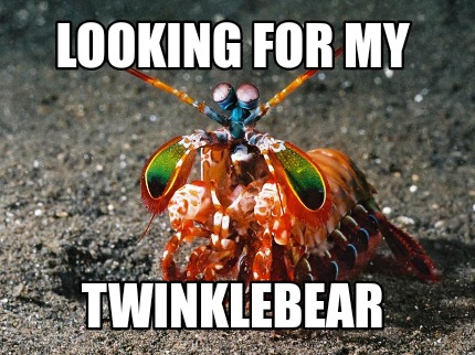 looking-for-my-twinklebear