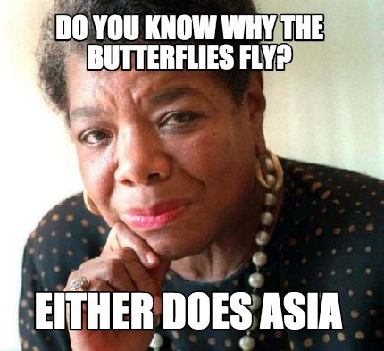 Meme Creator Funny Do You Know Why The Butterflies Fly Either Does